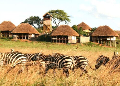 Kidepo Valley National Park