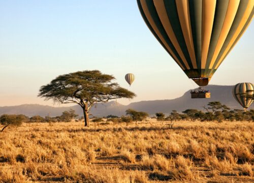 10 Days Tanzania Safari