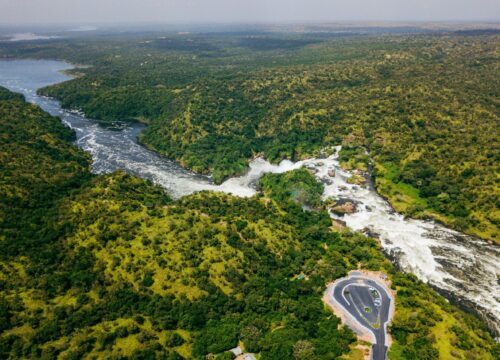 6 Days Kidepo and Murchison Falls National Park Wildlife Safari.
